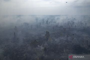 Hanya dalam dua hari, hutan dan lahan seluas 40 hektare terbakar di kabupaten Tanjung Jabung Barat