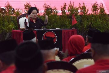 Pengamat sebut majunya Mega jadi ketum hambat regenerasi di PDIP