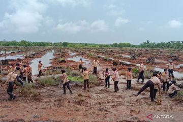 Pelajar tanam 1.000 pohon manggrove di pesisir Aceh Tamiang