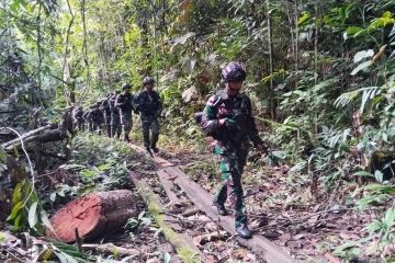 Satgas Pamtas RI-PNG laksanakan patroli patok batas negara