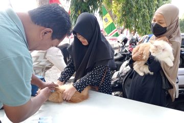 Ratusan kucing peliharaan Kota Mataram divaksin gratis, cegah rabies