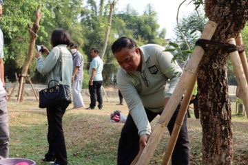 Jakbar kembali tanam pohon di jalur hijau Kosambi