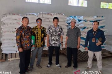 Pemkab Situbondo distribusikan 15.500 ton pupuk subsidi ke petani