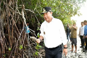 Penjabat Gubernur bertekad jadikan Sulbar sentra penghasil kepiting