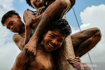 Semarak lomba panjat pinang di hari Kemerdekaan RI