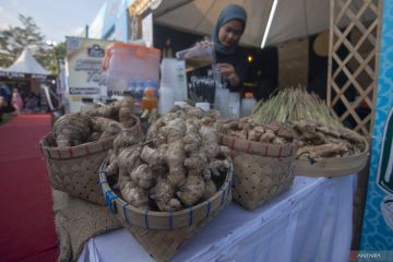 Peneliti BRIN ungkap khasiat ramuan Madura untuk kesehatan perempuan