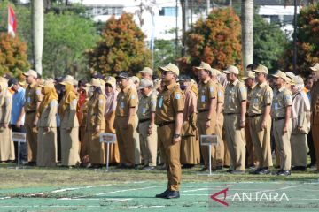 Template surat lamaran bagi calon peserta CPNS Kemenag 2024