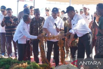 KKP sediakan bibit dukung pengembangan rumput laut di NTT