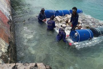 Pemkab pasang bronjong di Pulau Panggang untuk tahan hantaman ombak