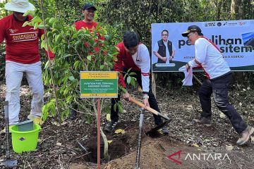 Pertamina Patra Niaga hijaukan Gunung Arjuno peringati HUT RI