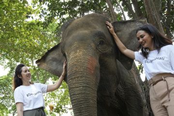 Permata Bank dan WWF Indonesia luncurkan program konservasi di Jambi