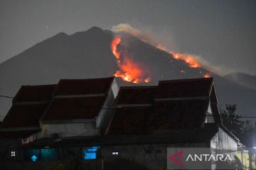 Kebakaran hutan di Gunung Merapi Ungup-ungup semakin meluas