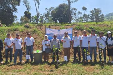 Penghijauan Lahan Kritis di Hulu Citarum: Perum Jasa Tirta II Bersama Dinas Lingkungan Hidup dan Paguron Gajah Putih Kahuripan Lakukan Penanaman 25.000 Pohon