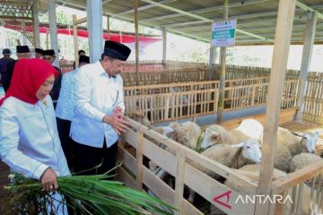 Balai Ternak Baznas bentuk kemandirian ekonomi mustahik di Indonesia