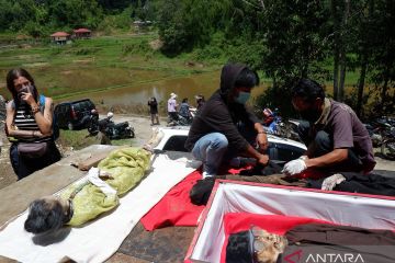 Toraja promotes Ma'nene as ritual tourism