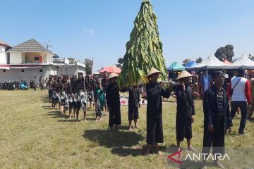 Ratusan warga di Klakah Boyolali gelar tradisi wiwit tembakau