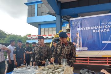 KKP bagikan 4 ton ikan hasil pengawasan kepada masyarakat Batam