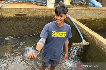 Kampung Nila Ciamis siap dukung Program Makan Bergizi Gratis