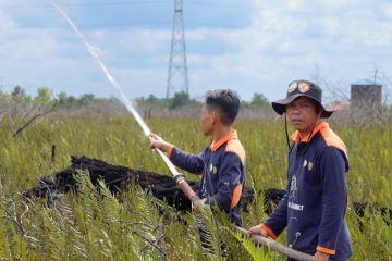 BRGM jadikan partisipasi masyarakat program utama pemulihan gambut