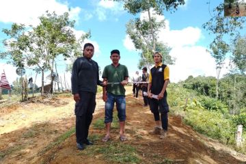 BPBD Aceh Barat dan BKSDA halau gajah ke hutan cegah kerusakan kebun