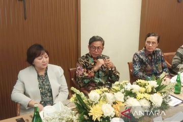 Indonesia nilai Afrika kawasan strategis, potensi kerja sama ekonomi