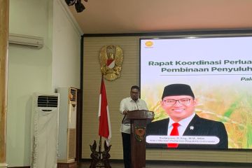 Wamentan targetkan Indonesia bebas impor beras pada Tahun 2025