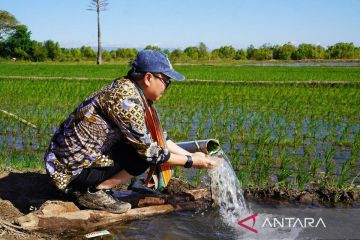 Pakar: Program pompanisasi Kementan tingkatkan produksi