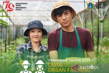 35 peserta daftar menjadi Duta Urban Farming 2024