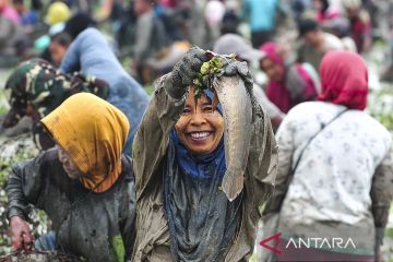 Festival Bekarang Lopak Sepang gelar tangkap ikan bersama di lubuk larangan