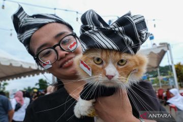 Pet contest in Kendari