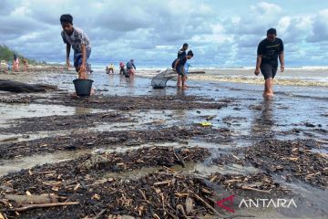 Puluhan warga bersihkan tumpahan batu bara di Pantai Aceh Barat