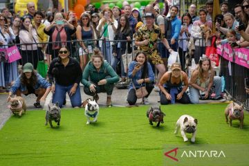 Begini cara warga merayakan hari anjing di Kanada