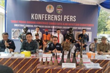 KLHK dalami kasus penyelundupan cula badak di Palembang