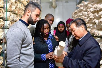 Teknologi rumput hibrida China ubah dunia jadi lebih baik (bagian 1)