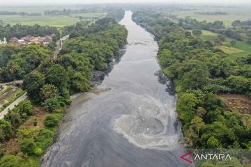 Sungai Ciujung berubah menghitam dan berbau akibat pencemaran