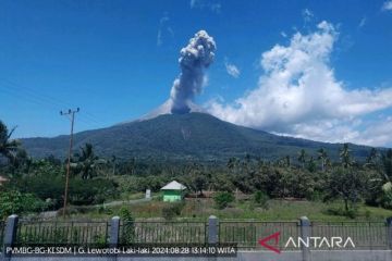 Badan Geologi: Gunakan masker, waspada debu vulkanik Gunung Lewotobi