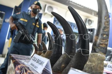 Rilis kasus penangkapan perdagangan ilegal Cula Badak