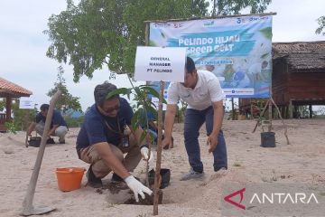 Pelindo Pangkalbalam tanam 700 pohon buah di Danau Wisata Pading Babel