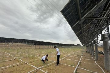 Panel surya tingkatkan pendapatan petani di gurun China