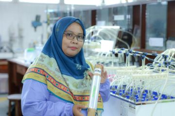 Peneliti UGM kembangkan inovasi plastik kemasan mudah terurai