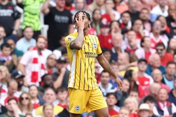 Joao Pedro bawa Brighton curi satu poin dari kandang Arsenal