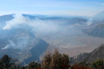 TNBTS selidiki penyebab kebakaran Bukit Kedaluh di Bromo