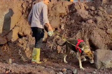 Anjing pelacak menyisir lokasi banjir Ternate cari 1 korban hilang