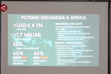 Pemerintah Indonesia siapkan bantuan hibah bagi negara-negara Afrika