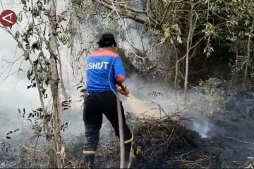 Hutan rawa gambut di Kabupaten Katingan terbakar sejak tiga hari lalu