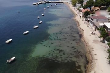 Laut Marmara di Turki hadapi penipisan oksigen yang parah