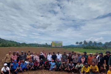 Kementan perluas areal padi gogo di Gorontalo cegah kelangkaan pangan