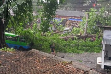 Hujan dan angin kencang landa Kota Bogor Senin sore, kaca mal pecah