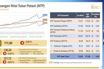 BPS catat nilai tukar petani di Jatim pada Agustus turun 0,4 persen