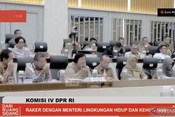 Menteri LHK: Aturan karbon ketat untuk cegah praktik "greenwashing"